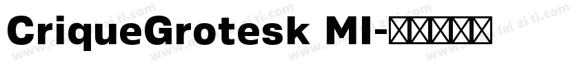 CriqueGrotesk MI字体转换